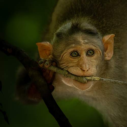 Photo #9663082