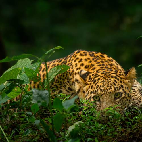 Photo #9663099