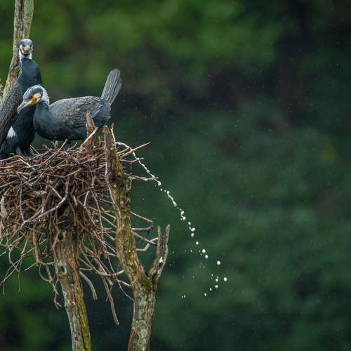 Photo #9663106