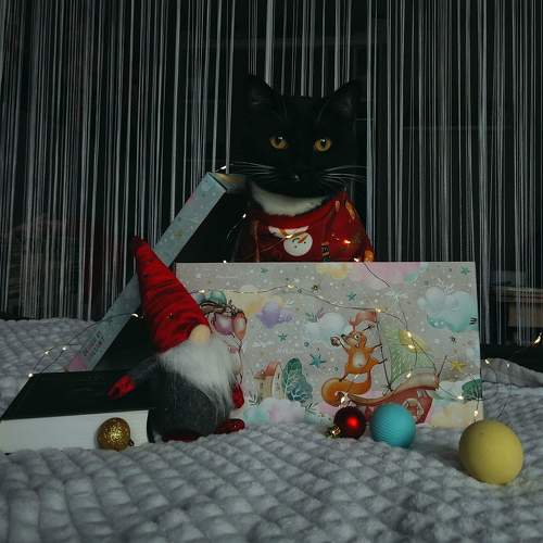 Photo #9663115