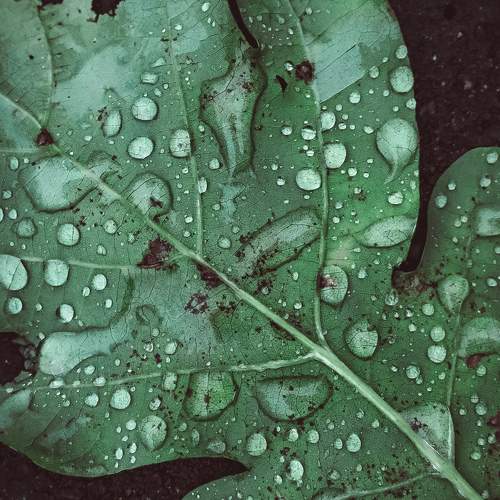 Photo #9663234