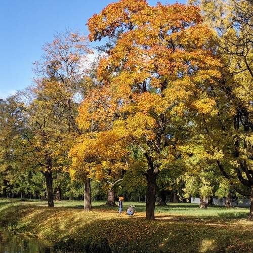 Photo #9663316