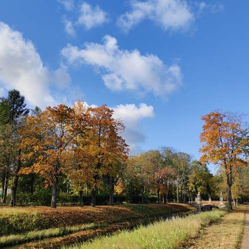 Photo #9663320