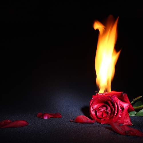 Photo #9663359