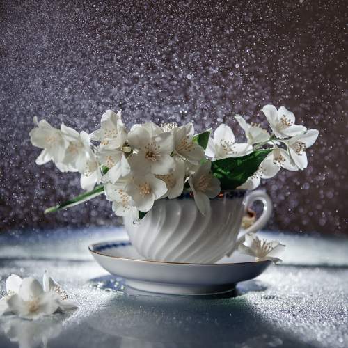 Photo #9663506