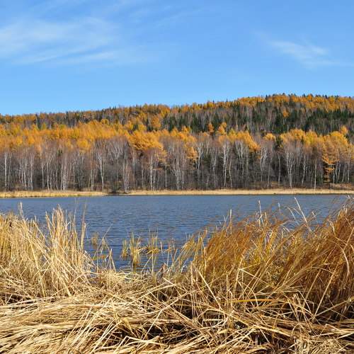 Photo #9663595