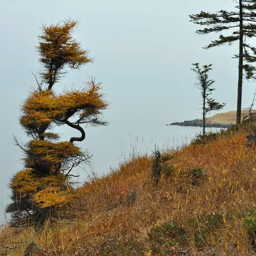 Photo #9663726