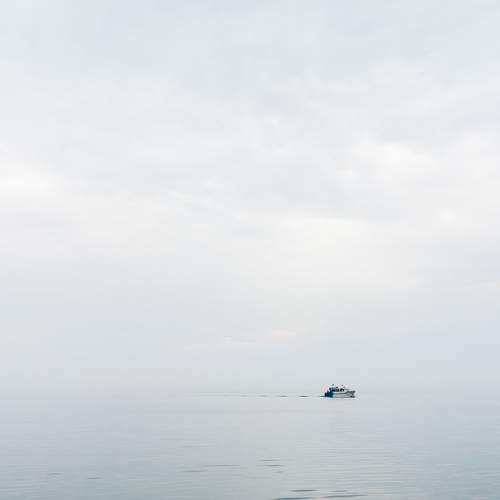 Photo #9663758