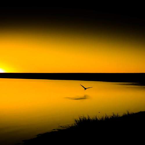Photo #9663942