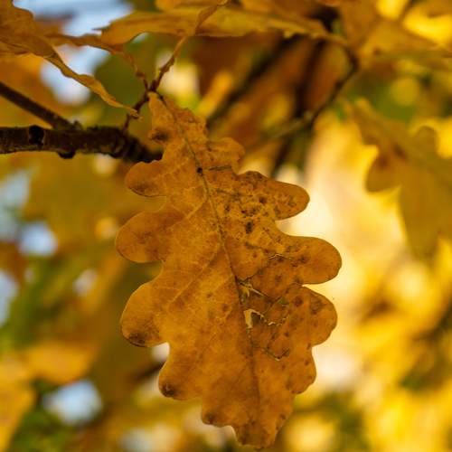 Photo #9664274