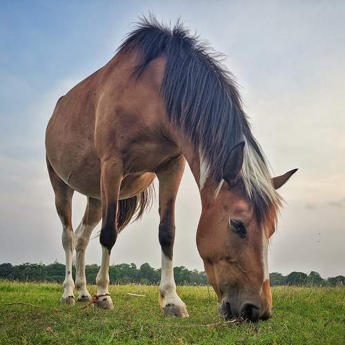 Photo #9664754