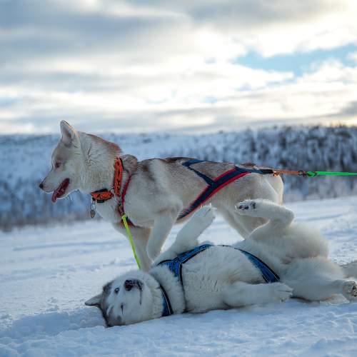 Photo #9664756