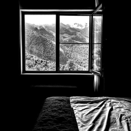 Photo #9664816