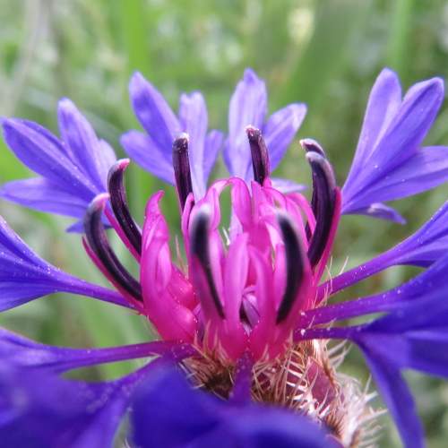 Photo #9665098