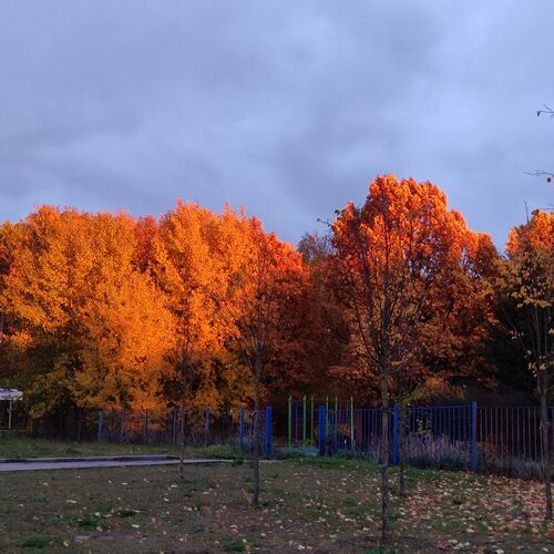 Photo #9665175