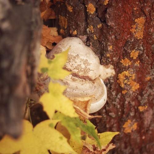 Photo #9665336