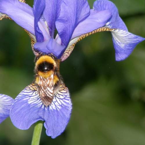 Photo #9665353