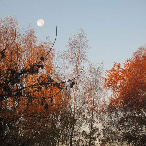 Photo #9665503