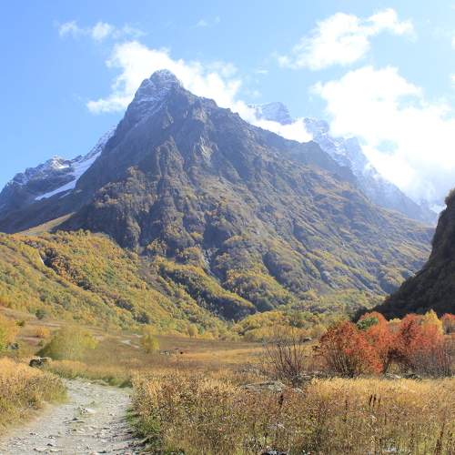 Photo #9665558
