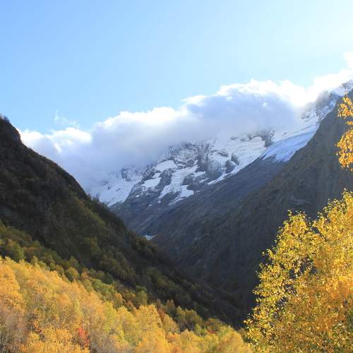 Photo #9665597