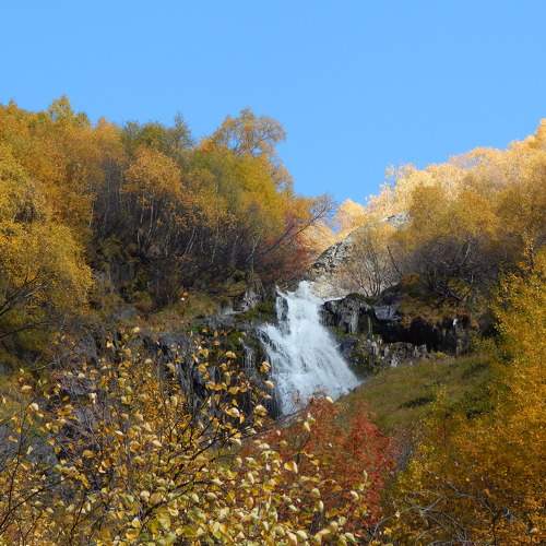 Photo #9665606
