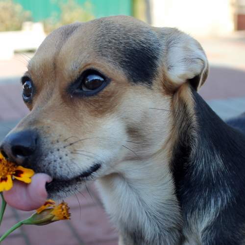 Photo #9665715