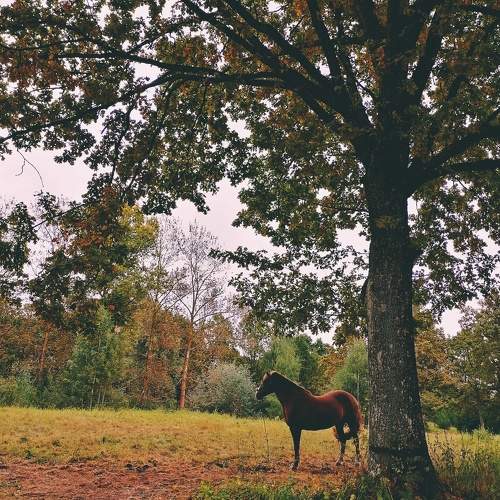 Photo #9665845