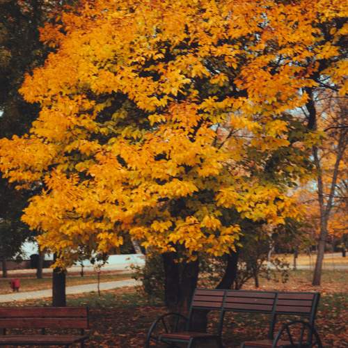 Photo #9665847
