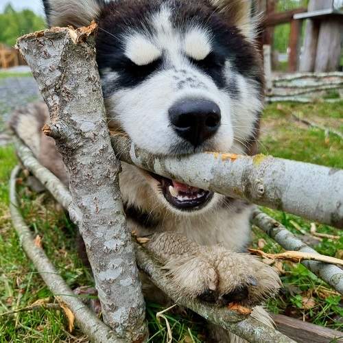 Photo #9665934