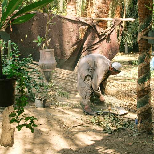 Photo #9666006