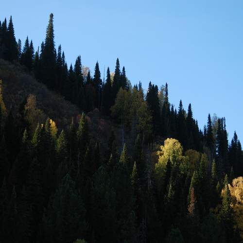 Photo #9666125