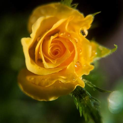 Photo #9666548