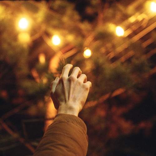 Photo #9667006