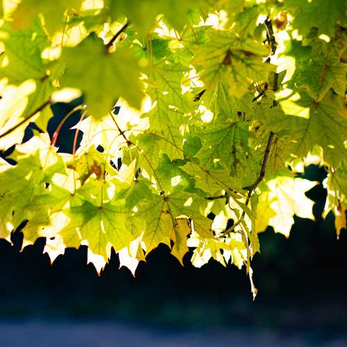 Photo #9667396