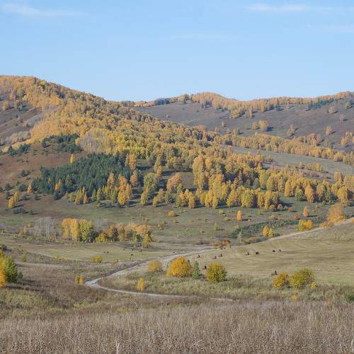 Photo #9667615