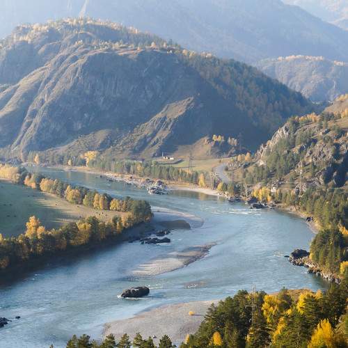 Photo #9667633