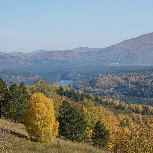 Photo #9667644