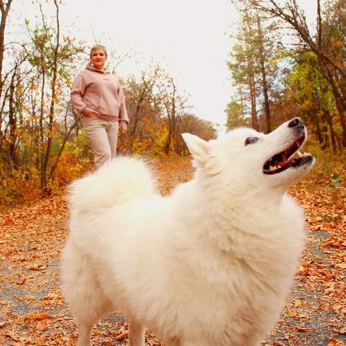 Photo #9667763