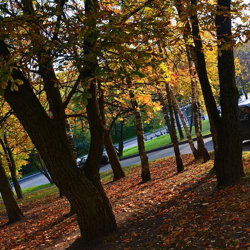 Photo #9667789