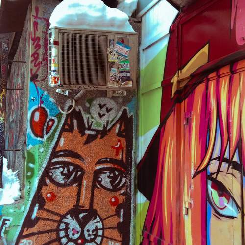 Photo #9667812