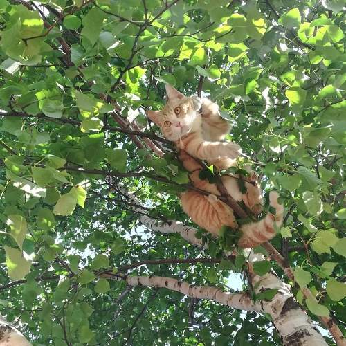 Photo #9668145