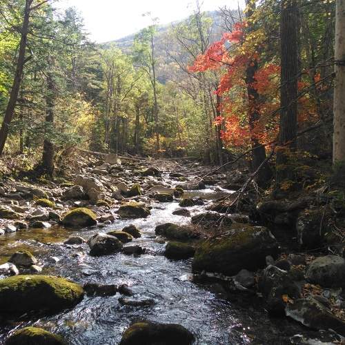 Photo #9668380