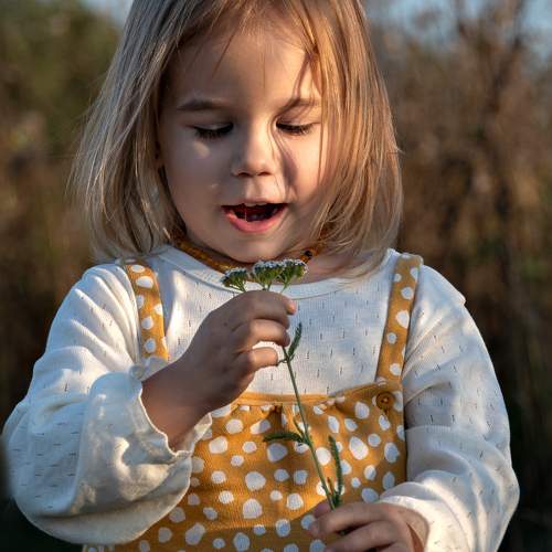 Photo #9669312