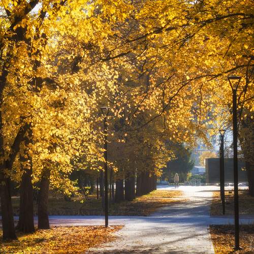 Осенний сквер