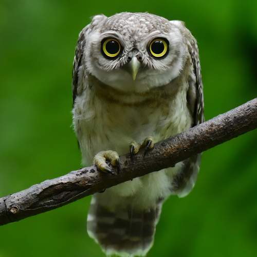Photo #9669514