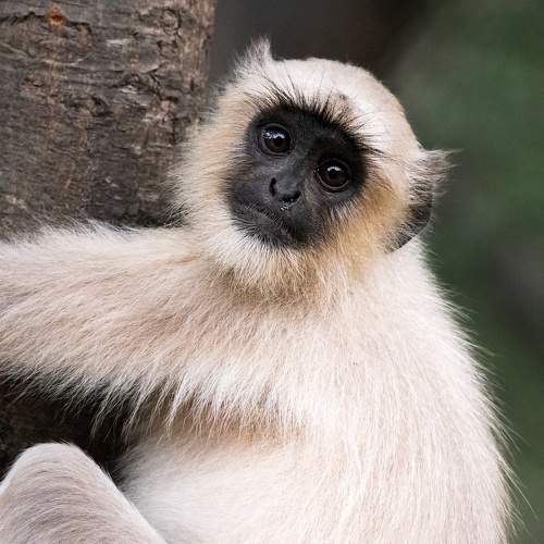 Photo #9669536