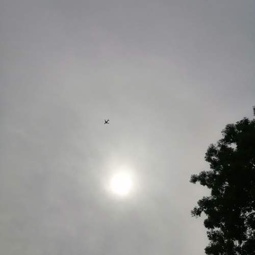 Photo #9669620