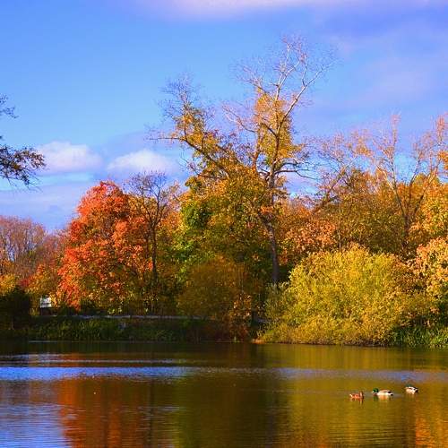Photo #9669700