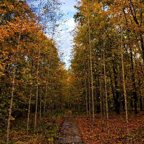 Photo #9669711
