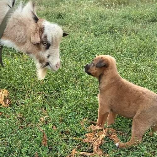 Photo #9669738